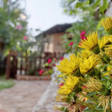 Giardino Marino Vikendica Pomer