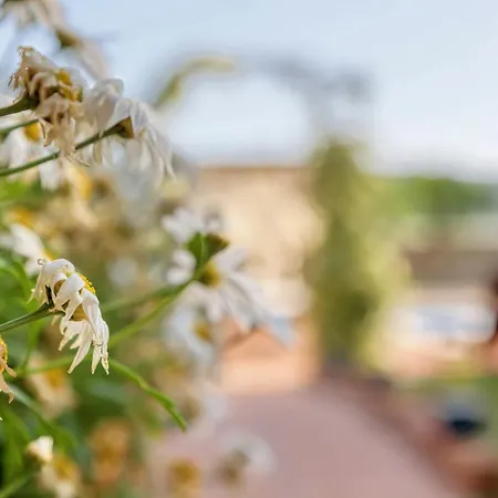 Giardino Marino * Pomer