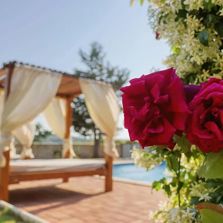 Giardino Marino Vikendica *