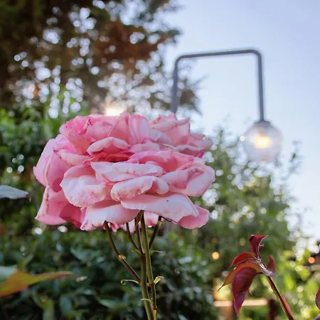 Giardino Marino Vikendica Pomer